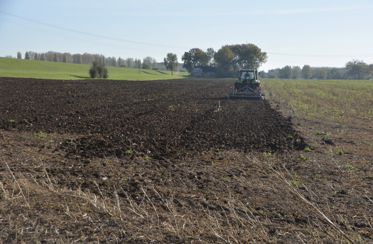 Yellow excavator and crane digging at a rural site.